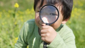 curiosidades incríveis