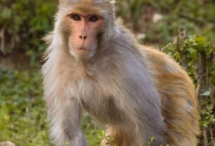 Curiosidades Chocantes Que Ninguém Te Conta