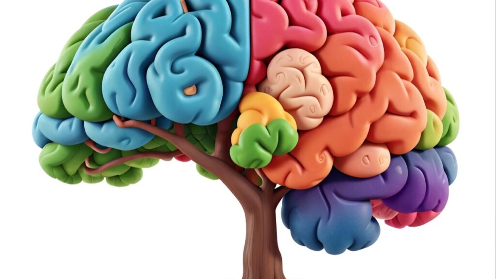 Por Que o Cérebro Não Sente Dor?