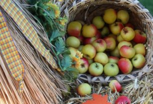 o que o ser humano come