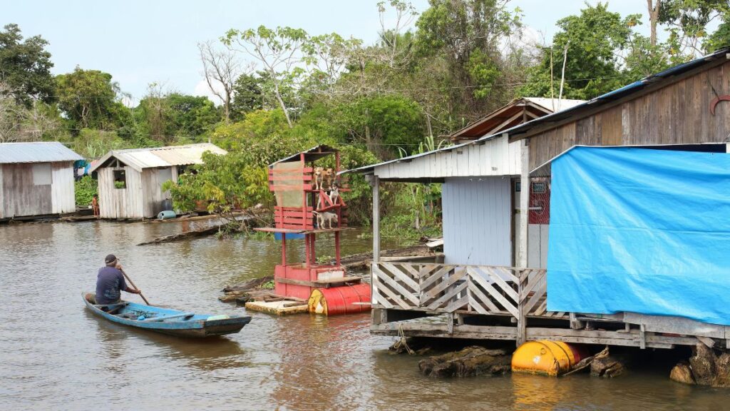 Preservação da Amazônia e dos Biomas Brasileiros: Por Que Proteger Nossa Maior Riqueza Natural é Urgente