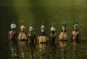 Preservação da amazonia
