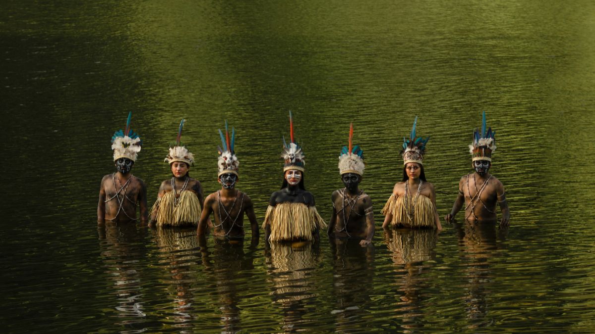 Preservação da amazonia