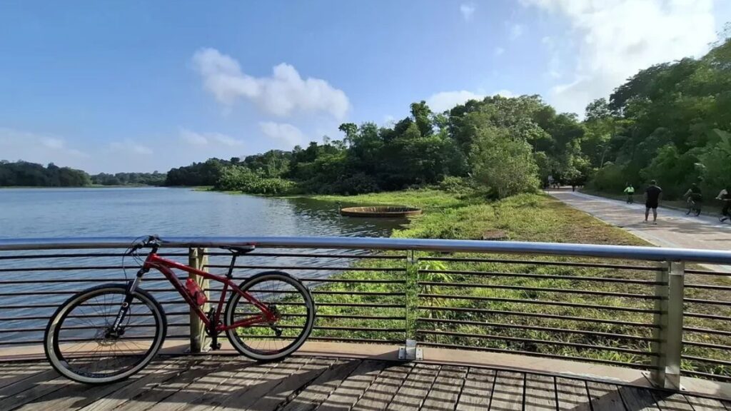 "parque utinga belem lago floresta amazonia"