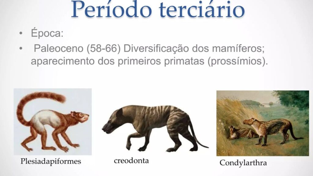 Seleção Natural e Adaptação na Savana Africana