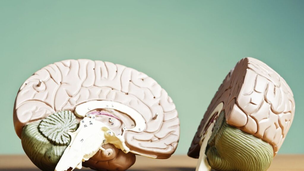  curiosidades do mundo