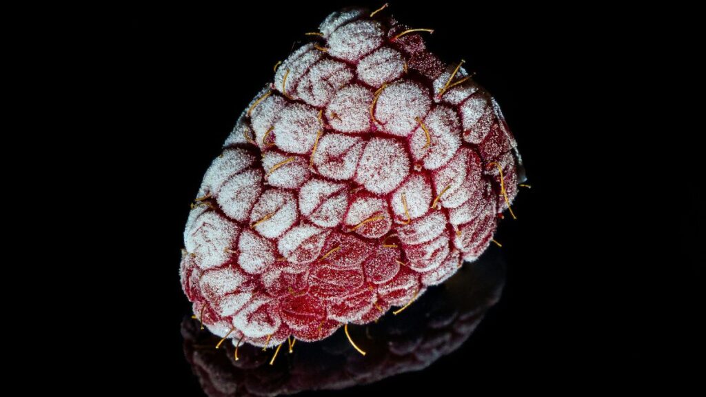 Curiosidades da Natureza