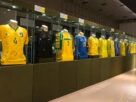 Camisa Seleção Brasileira