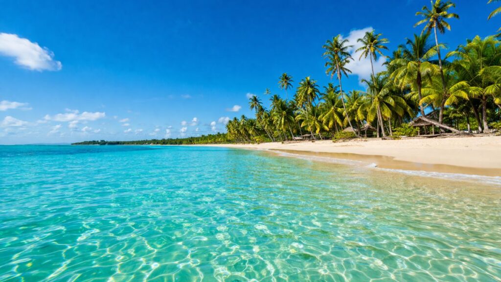 praia nordeste brasil águas cristalinas coqueiros