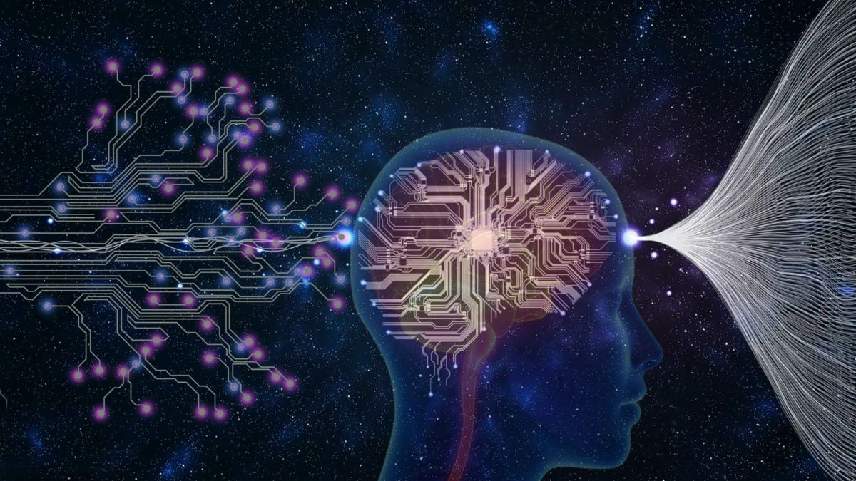 Como Funciona a Memória do Ser Humano