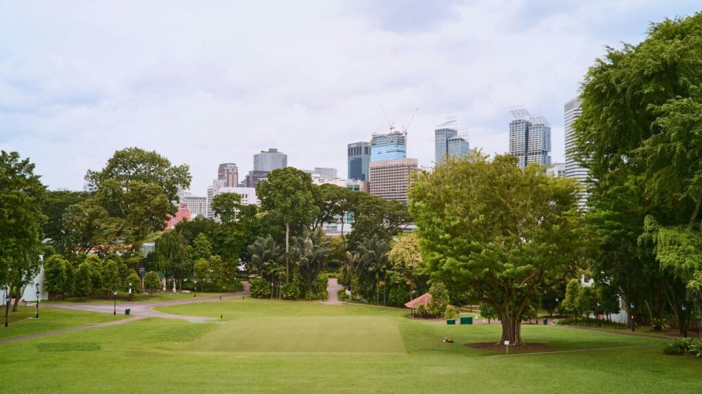 Benefícios do contato com a natureza para a saúde: Guia completo 2026 3 como ter mais contato com a natureza na cidade